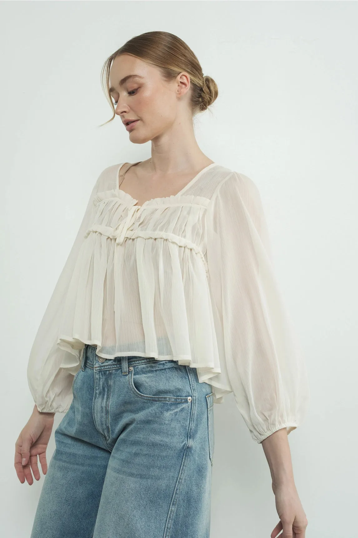 Sheer Long Sleeve Blouse